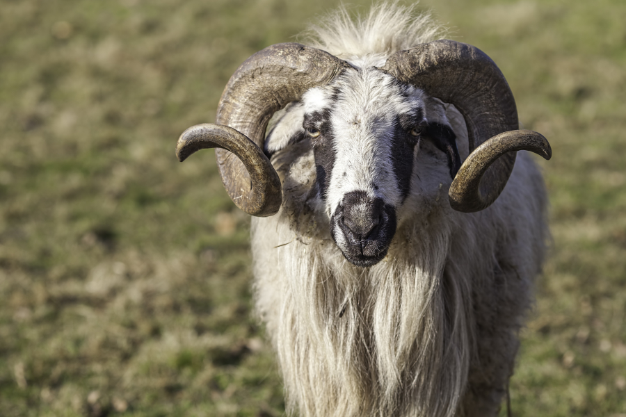 © 2023 Tierpark Berlin
